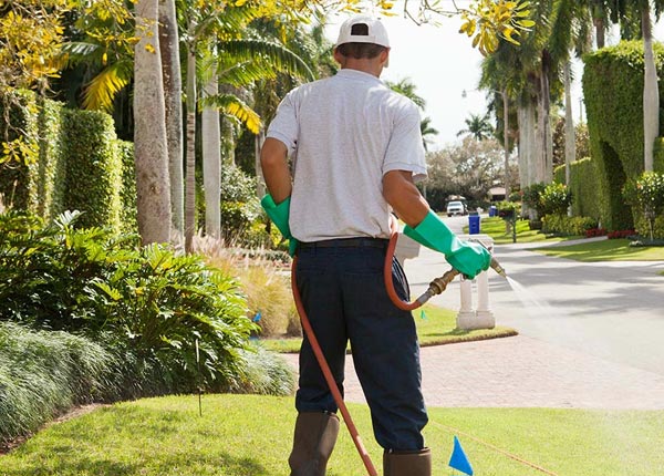 About Powder Springs GA Pest Control Pros